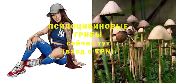 прущие грибы Абдулино