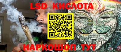 ПСИЛОЦИБИНОВЫЕ ГРИБЫ Кингисепп