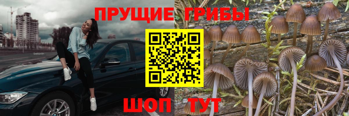 Псилоцибиновые грибы прущие грибы  Вход с VPN  Комсомольск-на-Амуре 