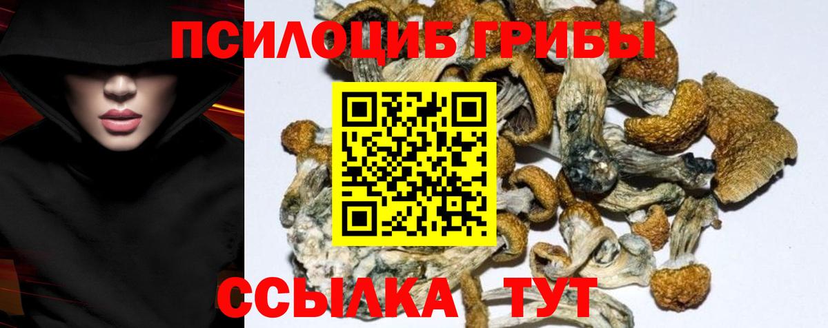 Галлюциногенные грибы мухоморы Комсомольск-на-Амуре